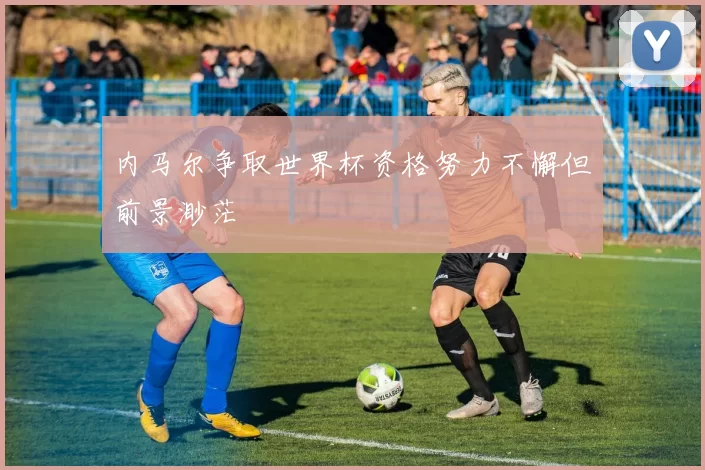 内马尔争取世界杯资格努力不懈但前景渺茫
